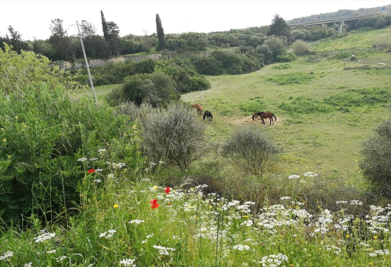 Albero Della Musica Bed and Breakfast Sassari Exteriör bild