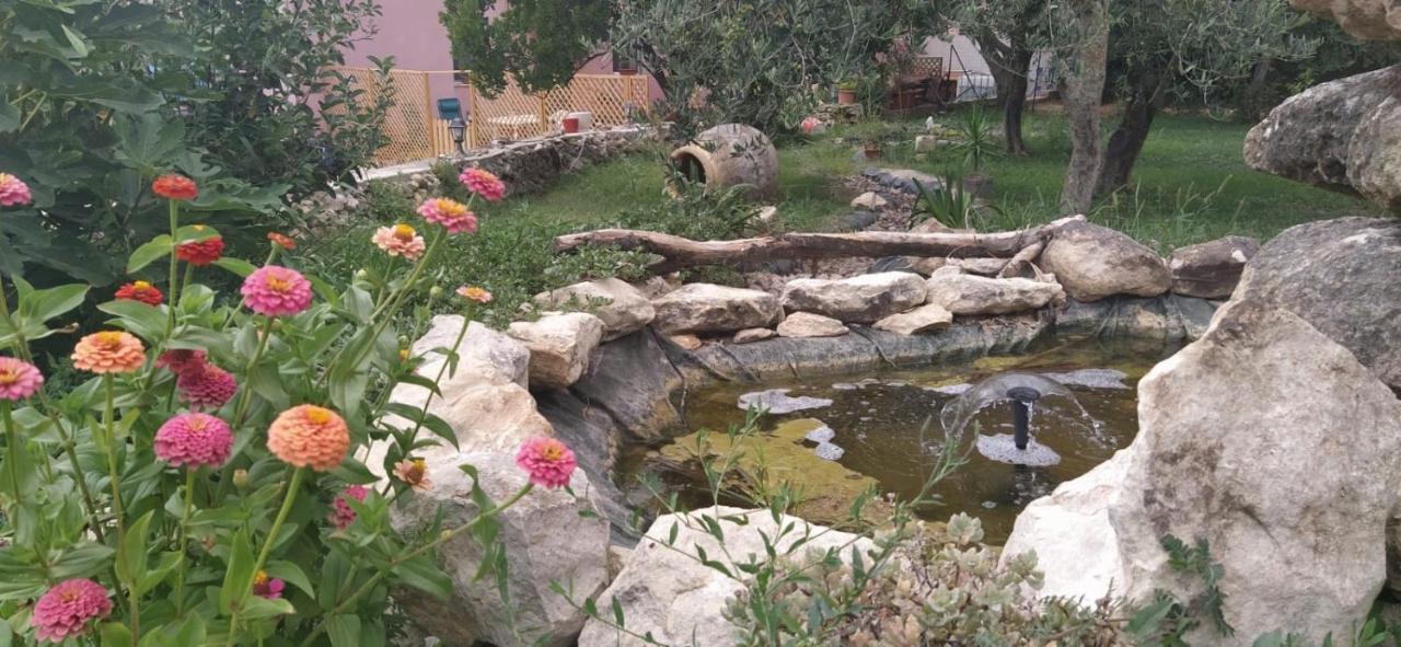 Albero Della Musica Bed and Breakfast Sassari Exteriör bild